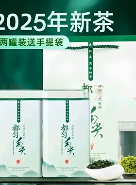 贵州绿茶都匀毛尖茶高山云雾特级绿茶一芽一叶板栗浓香型500g罐装