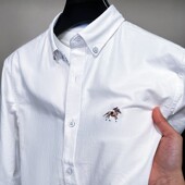 衬衫 男春秋季 休闲全棉衬衣男装 100%纯棉保罗长袖 上衣寸衫 尖领刺绣