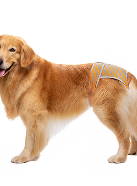 宠物生理裤中大型犬边牧阿拉斯加胖狗月经裤狗狗防骚扰狗狗姨妈裤