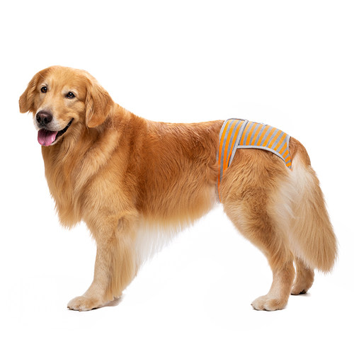 宠物生理大型犬边牧月经裤