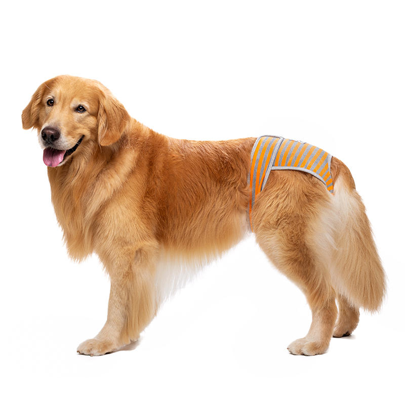 宠物生理裤中大型犬边牧阿拉斯加胖狗月经裤狗狗防骚扰狗狗姨妈裤