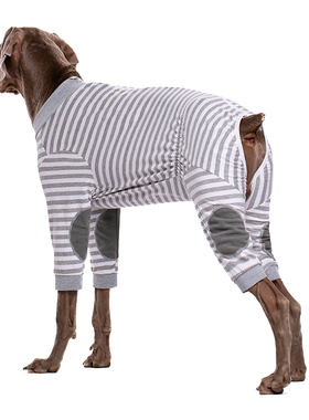 大狗衣服薄款四季可穿防掉毛中大型犬大胖狗护肚护关节全包四脚衣