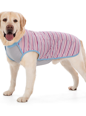 宠物大狗衣服透气薄款拉布拉多柯基金毛中大型犬条纹背心防掉毛