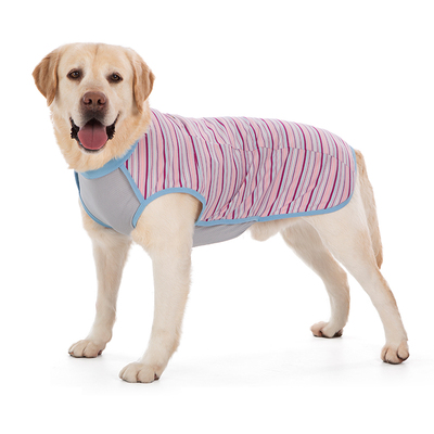 大狗背心透气款二脚背心