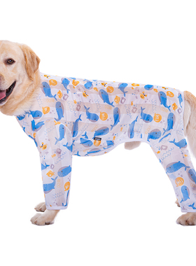 大狗衣服金毛拉布拉多网纱防晒衣服四脚中大型犬秋田印花夏装薄款