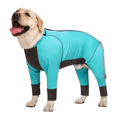 狗狗衣服秋冬拉不拉多中大型犬