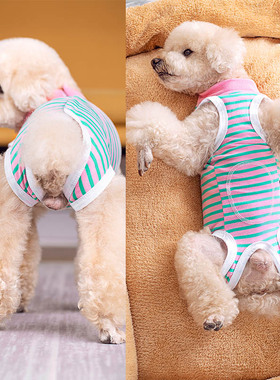 宠物狗狗衣服贵宾泰迪包肚子背心护肚防着凉母狗绝育术后服断奶服