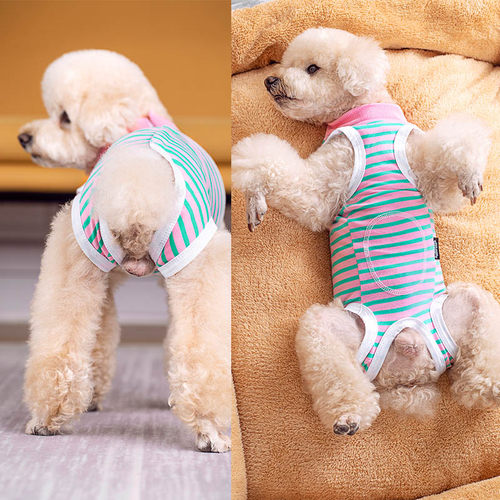 狗狗护肚服四脚术后莱卡棉断奶服