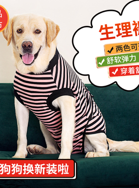 宠物狗生理裤中大型犬母狗月经裤大狗连体包屁股防骚扰胖狗安全裤