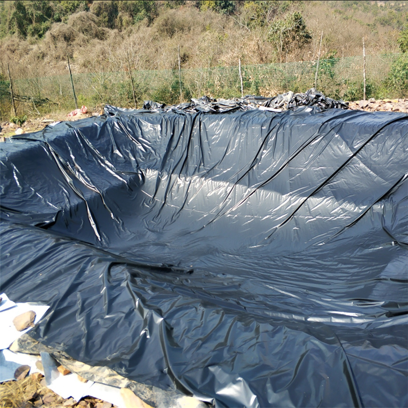 护坡藕池商用防渗膜莲藕池防渗水塑料土工膜沼气池水产养殖膜防水