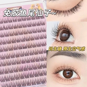 睫博士免胶10排鱼尾混合整簇假睫毛懒人三部曲睫毛自然仿真眼睫毛