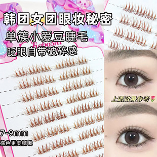 睫博士棕色短款 爱豆女团超自然韩系女团ACE假睫毛单簇懒人新手