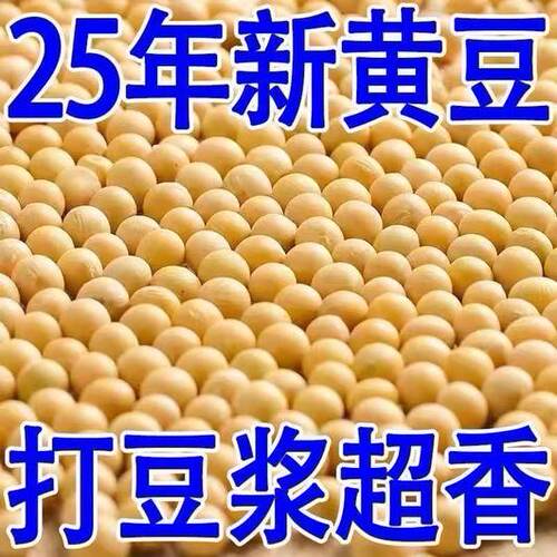 黑龙江东北非转基因新黄豆农家自种大豆生豆芽打豆浆专用豆子尝鲜