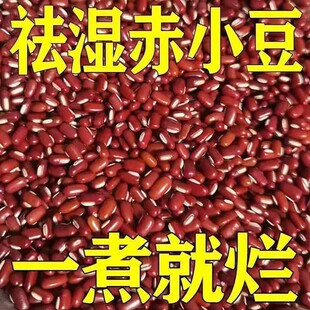 正宗长粒赤小豆新货红小豆红赤小豆五谷杂粮农家红豆亦小豆小赤豆