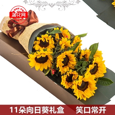 珠海市香洲区斗门区金湾区父亲节向日葵花束鲜花速递同城花店上门