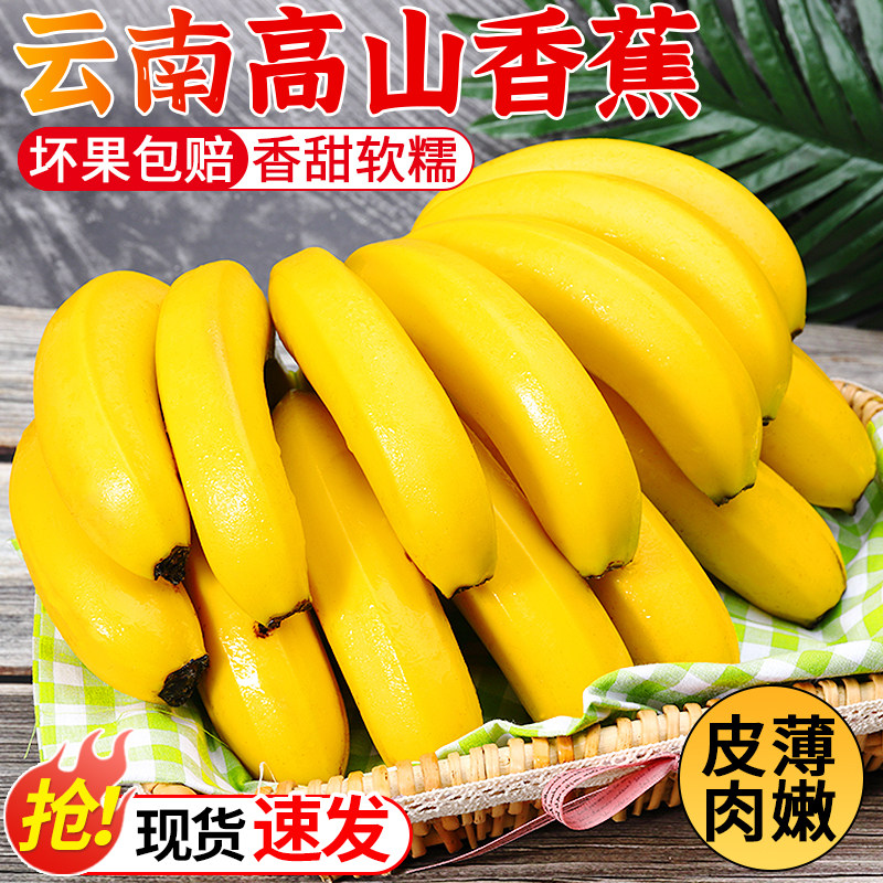 高山甜香蕉新鲜水果应当季大芭蕉小米蕉现摘甜香蕉皇帝蕉批发包邮