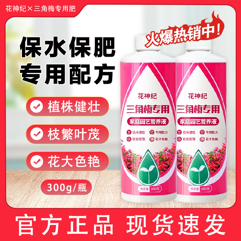 三角梅开花专用营养液肥养花枝