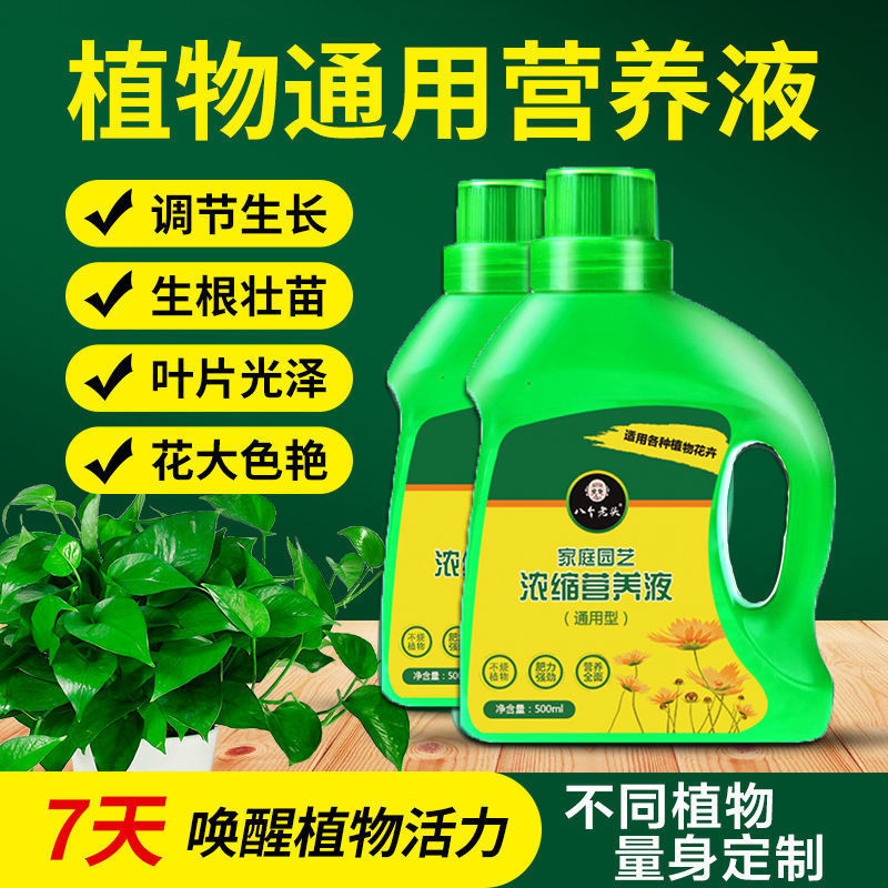 营养液植物通用型花肥料