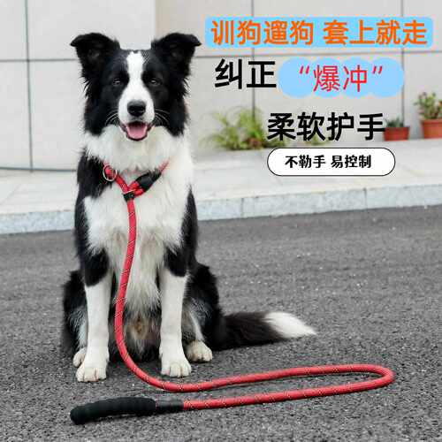 夜间反光狗狗牵引绳辅助纠正爆冲