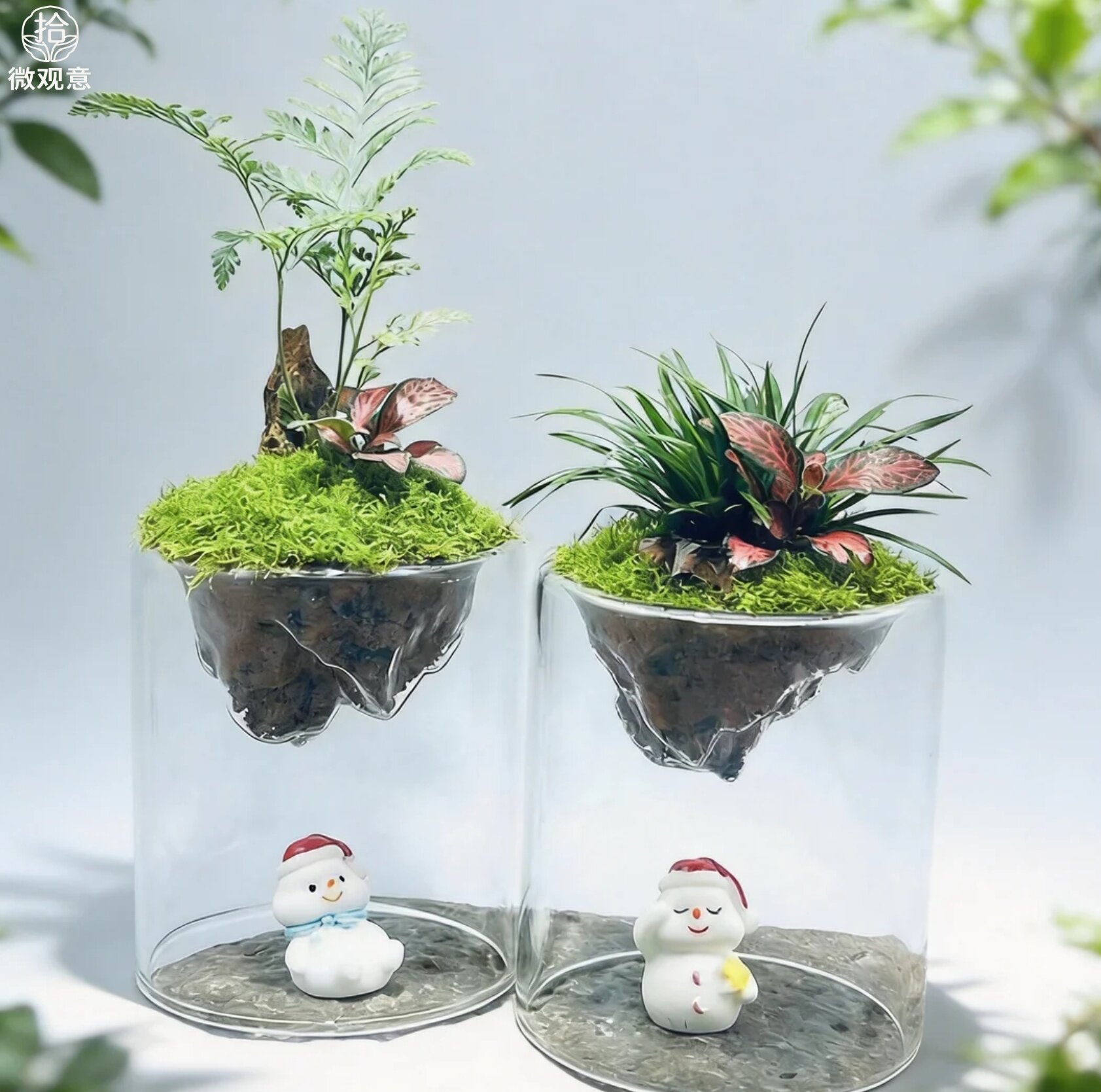 创意微景观绿植生态瓶苔藓植物盆栽盆景假山造景办公室内桌面摆件