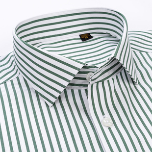 桑蚕丝免烫男士 打底衫 长袖 绿白条纹商务休闲西装 衬衫 2025春秋新款