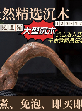 120-129cm大型精品造景沉木南美多枝拱桥树桩龟晒台紫柚木枯木