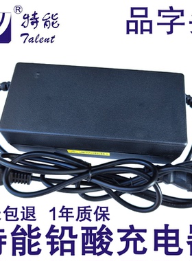 特能铅酸电动车充电器48V60V64V72伏12Ah20Ah32安DZM爱玛雅新日迪