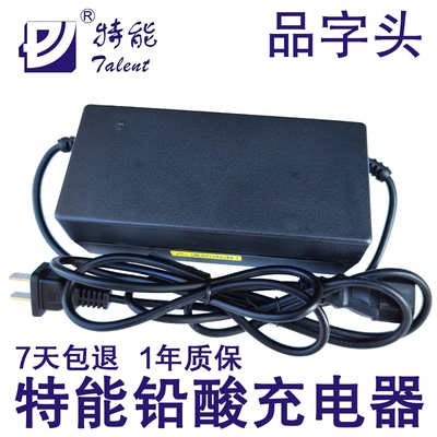 特能铅酸电动车48v60v72伏