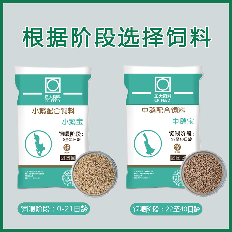 正大鹅饲料鹅专用饲料狮头鹅天鹅