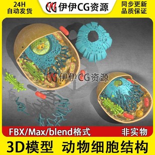 3D模型3Dmax生物模型动物细胞中心体细胞膜线粒体核糖体高尔基体