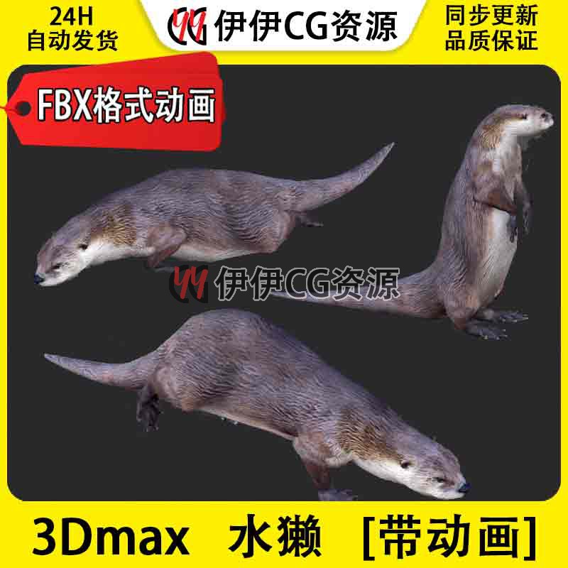 3D模型3DMax动物模型水獭猫鱼猫水狗水毛子水猴FBX动画文件lutra