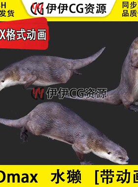 3D模型3DMax动物模型水獭猫鱼猫水狗水毛子水猴FBX动画文件lutra
