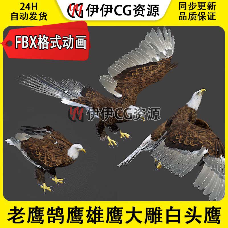 3DMax动物模型3D模型老鹰飞禽雄鹰大雕白头鹰秃鹰FBX动画文件飞翔