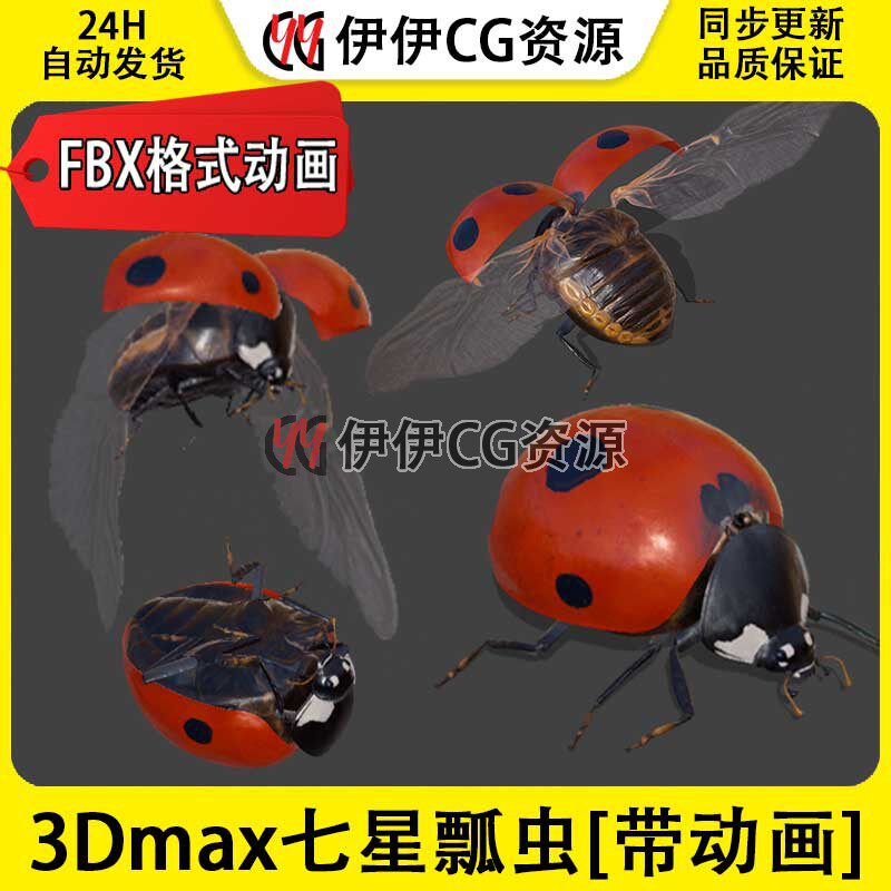 3D模型3DMax动物昆虫七星瓢虫金龟子FBX动画Coccinella骨骼绑定