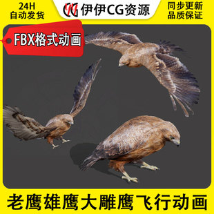 3DMax动物模型3D模型老鹰Eagle雄鹰大雕鹰苍鹰FBX动画文件3D飞行