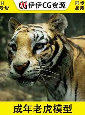 UE4虚幻5 Animalia - Tiger (male) 成年老虎模型带动画GIM