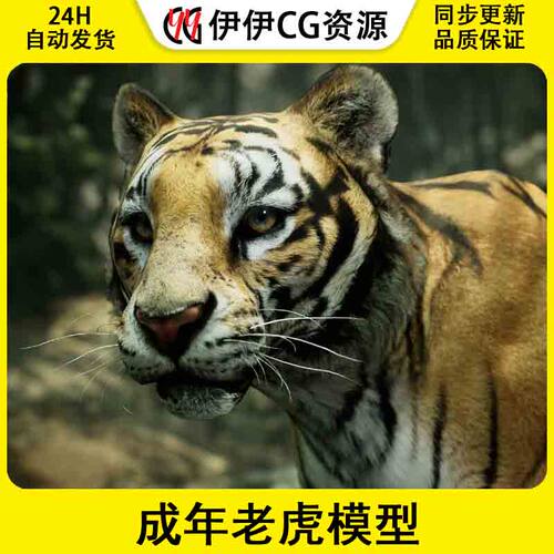 UE4虚幻5 Animalia - Tiger (male) 成年老虎模型带动画GIM