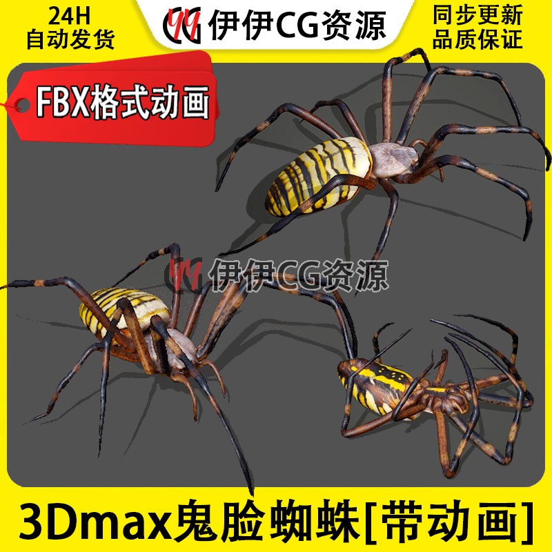 3D模型3DMax动物昆虫蜘蛛鬼脸蜘蛛FBX动画文件Spider毒蜘蛛毒虫