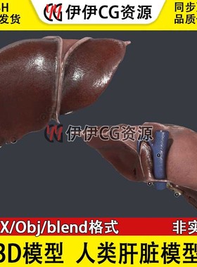 3D模型FBX医学模型 人类肝脏器官 PBR材质肝解剖脂肪肝 Blend