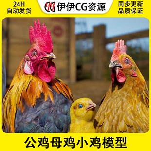 UE4虚幻5Animalia 2.0.0公鸡母鸡小鸡模型带动画 pack Chicken