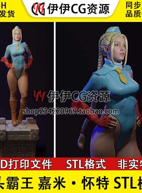 ES 嘉米·怀特Cammy超级街头霸王+NSFW(多体版)3D打印模型STL文件