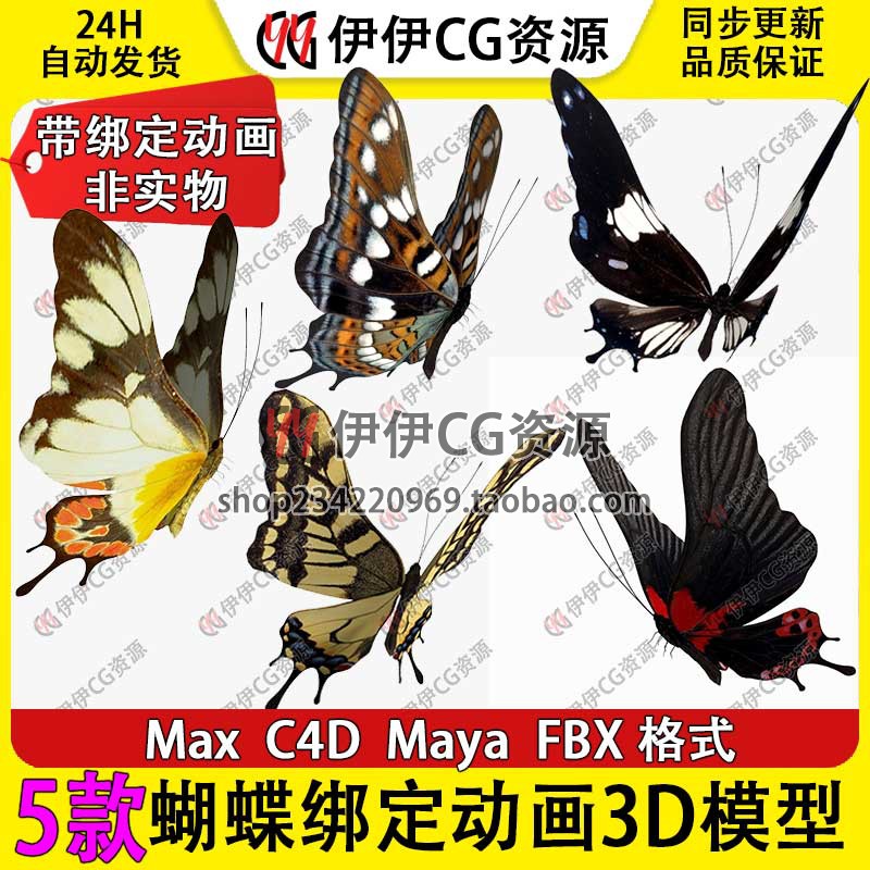 3D模型3dmax写实花蝴蝶昆虫动物骨骼绑定飞行动画带贴图MAYA C4D