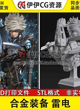 雷电Raiden《合金装备崛起 复仇》3d打印模型stl图纸文件素材