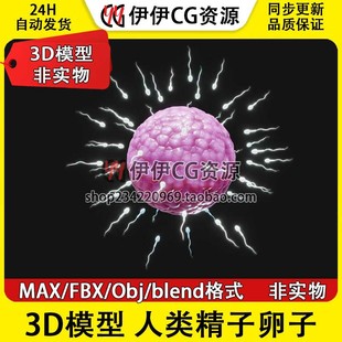 obj fbx 3D模型3DMAX医学解剖人类精子卵子受精卵细胞细胞 blend