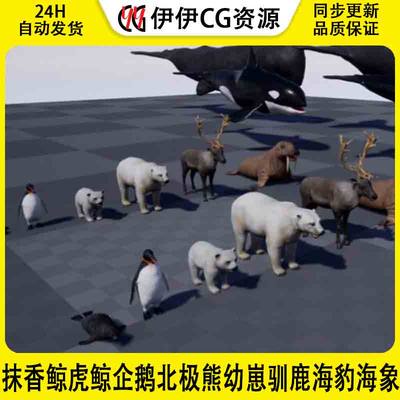 UE45抹香鲸虎鲸企鹅北极熊幼崽驯鹿海豹海象Arctic Animal Pack