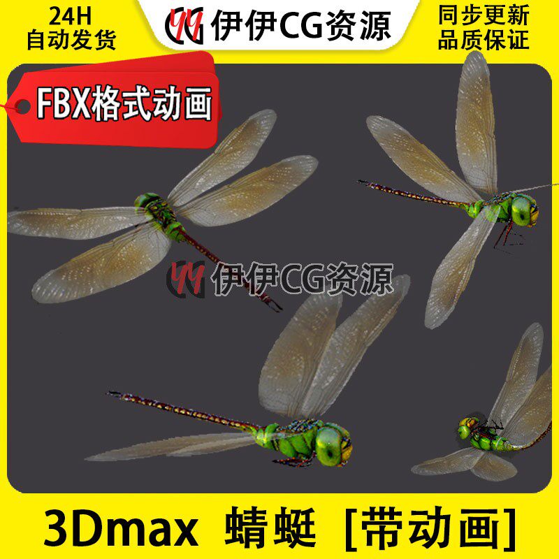 3DMax动物模型3D模型PBR蜻蜓昆虫Dragonfly无脊椎动物FBX动画文件