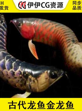 UE4虚幻5 Arowana 古代龙鱼金龙鱼角色模型带动画