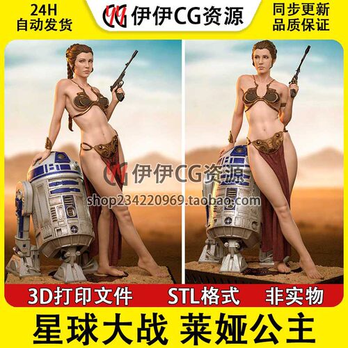 莱娅公主Princess Leia《星球大战》3d打印模型stl图纸文件素材