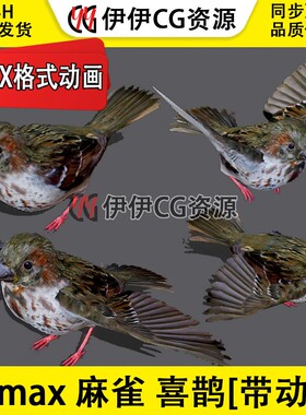 3DMax动物模型3D模型喜鹊飞禽鸟麻雀翠鸟FBX动画文件飞行Sparrow