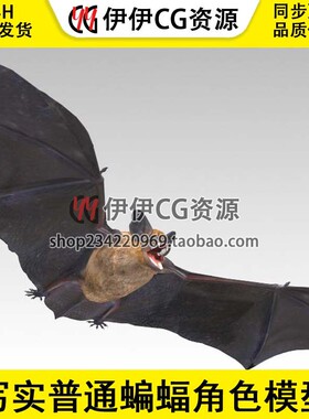 UE5虚幻5.4 写实普通蝙蝠角色模型带动画 Common Pipistrelle Bat